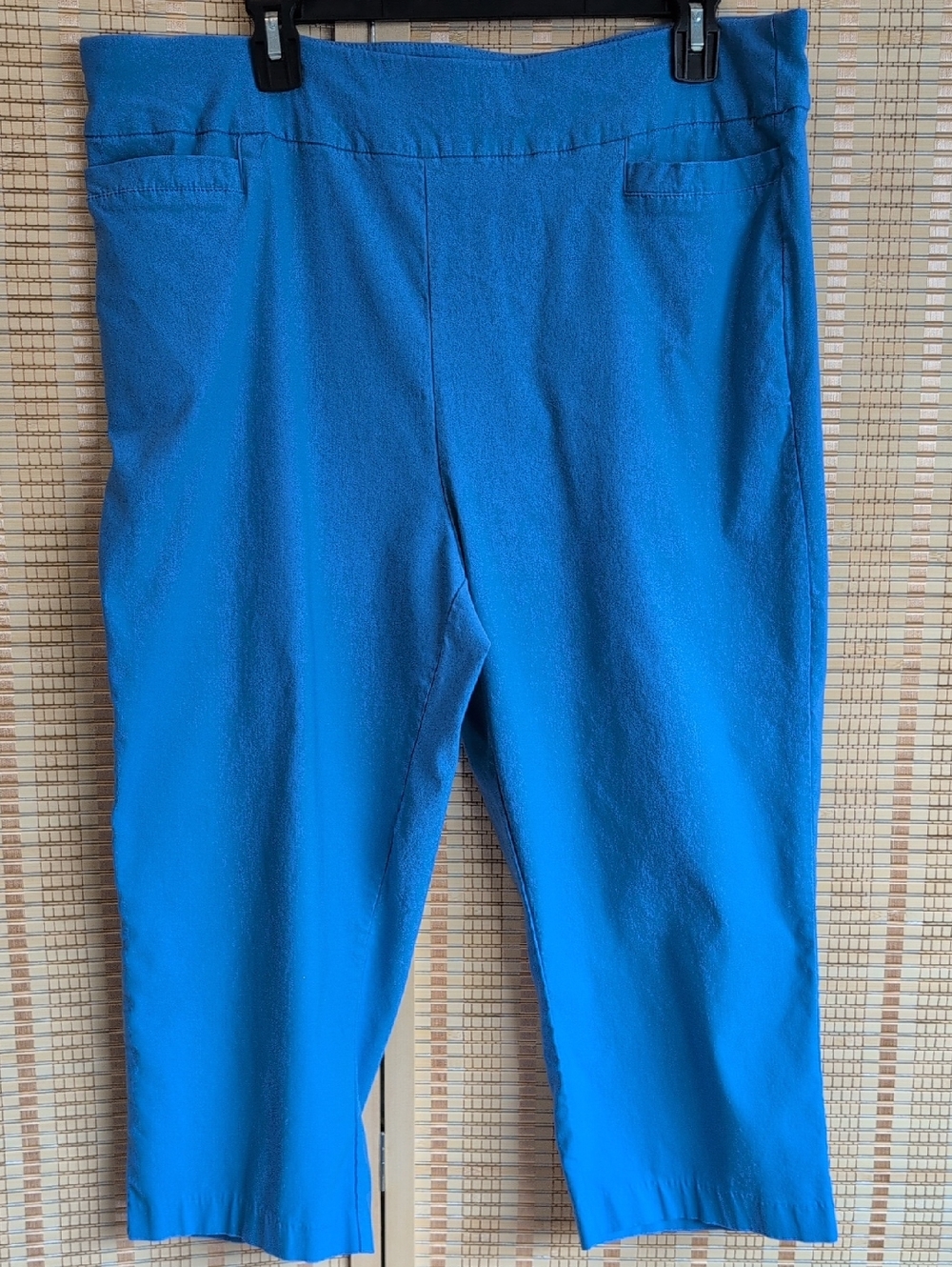 Kim Rogers Bright Blue Capris